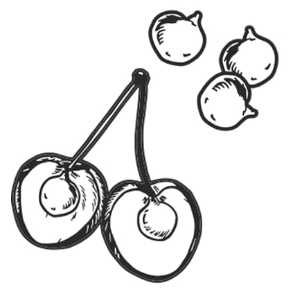 Wheel, Tire, Font, Bicycle part, Circle, Rim, Drawing, Bicycle tire, Auto part, Spoke